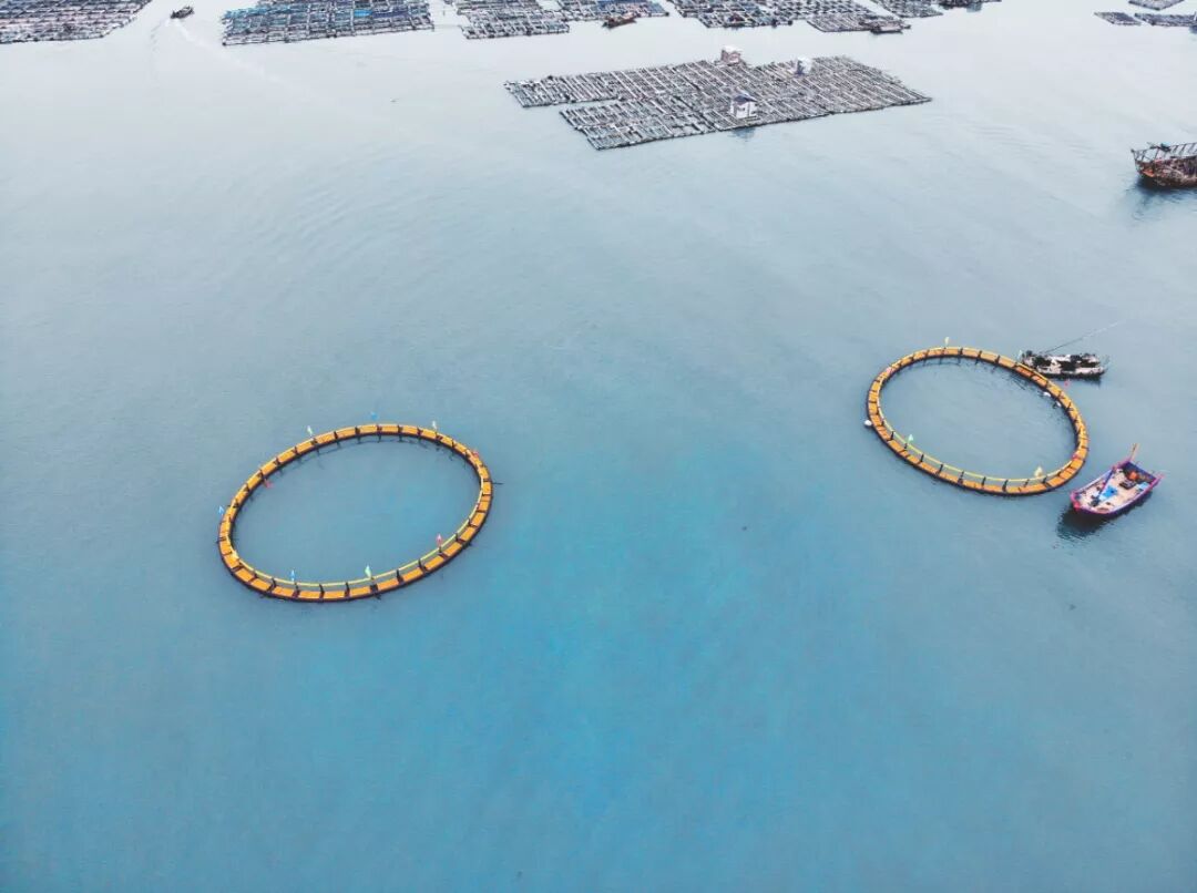 乐鱼页面在线登录资讯 | 莆田市首批深海抗风浪网箱下海完成锚固