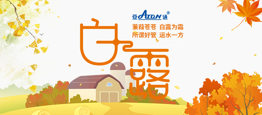 白露 | 蒹葭苍苍 白露为霜