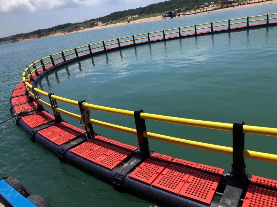 乐鱼页面在线登录资讯 | 助力海上养殖转型升级