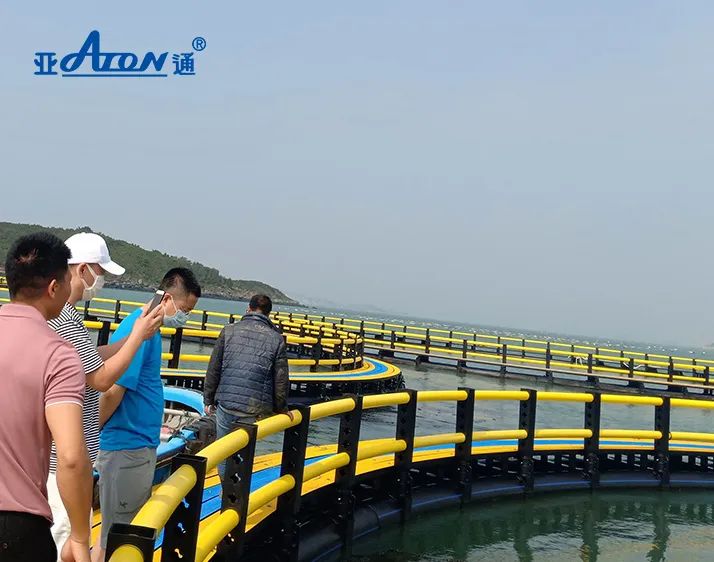 品质乐鱼页面在线登录 | 在风浪中前行，可抗12级台风的的深海网箱