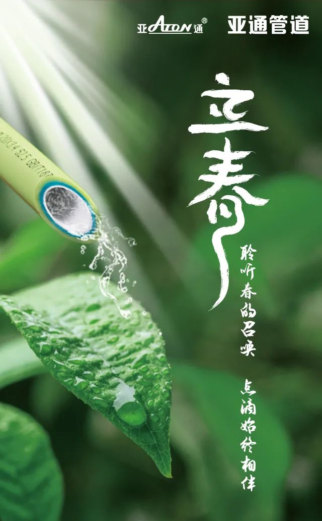 立春 | 聆听春的召唤，点滴始终相伴