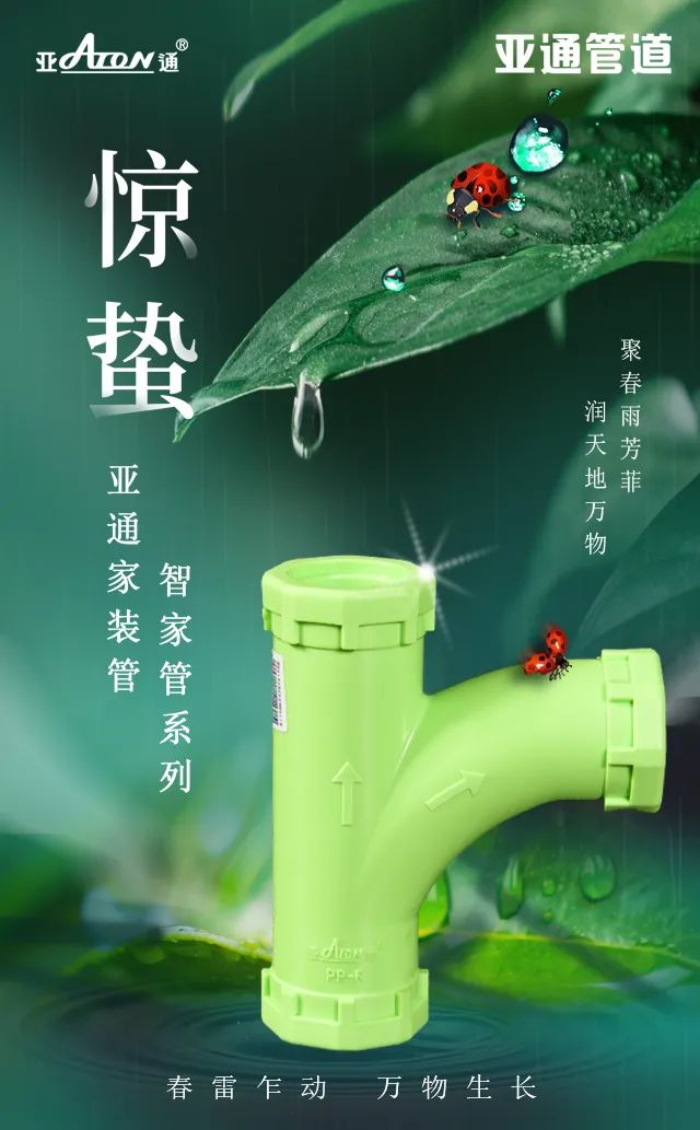 惊蛰 | 聚春雨芳菲，润天地万物