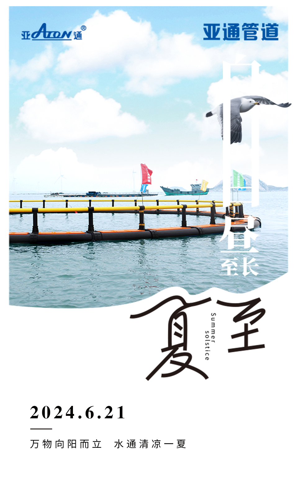 夏至 | 万物向阳而立，水通清凉一夏