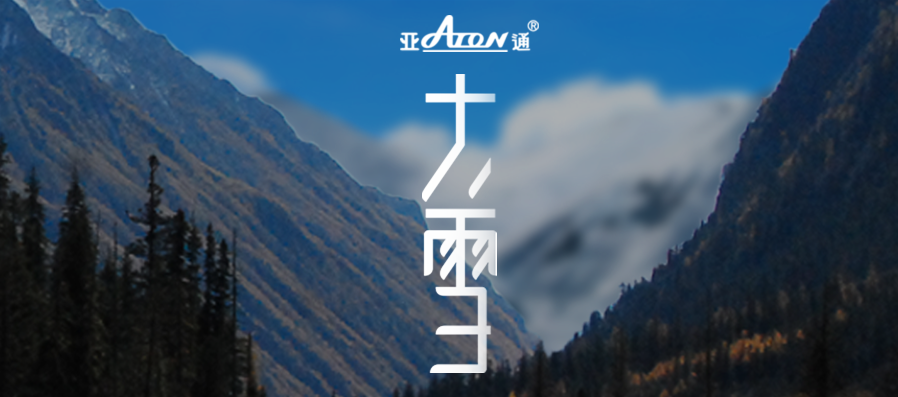 大雪 | 大雪渐寒，岁暮清欢