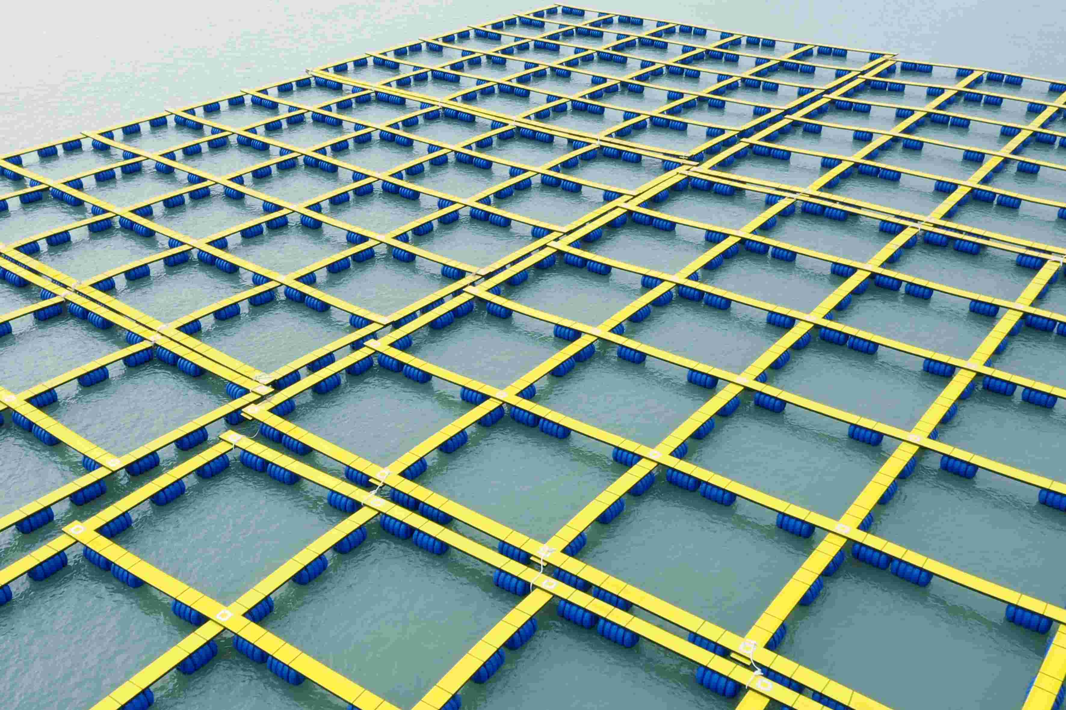 乐鱼页面在线登录海洋养殖装备设施系统-全塑胶渔排