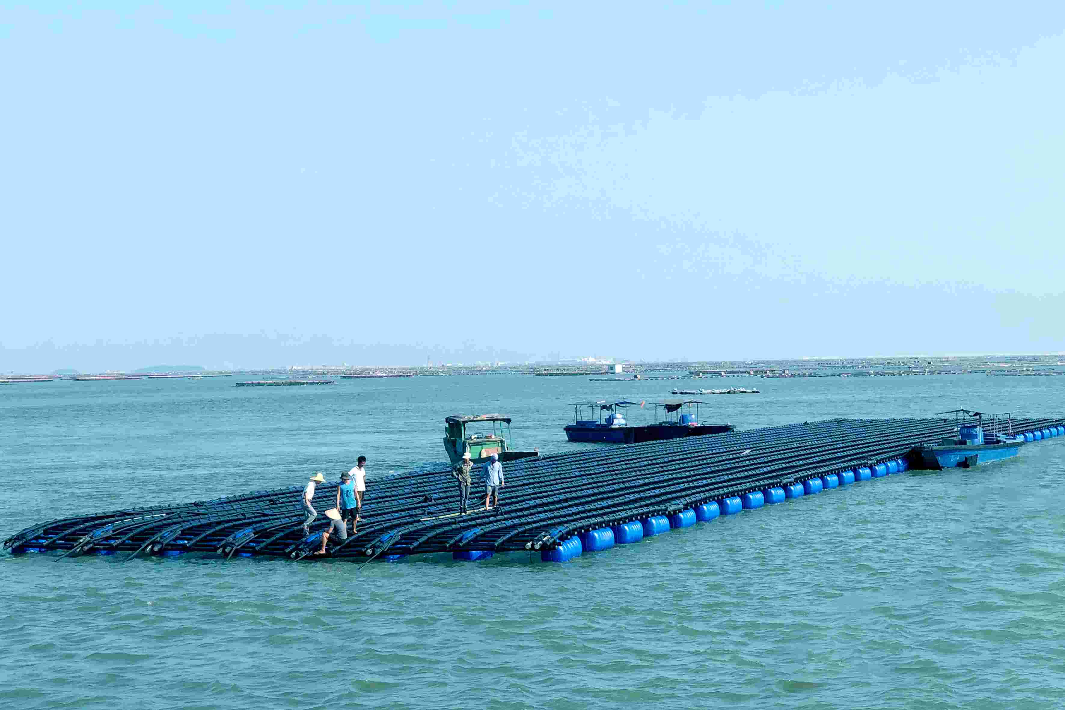 乐鱼页面在线登录海洋养殖装备设施系统-深海抗风浪蚝排(第一代)