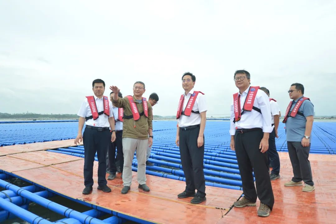 乐鱼页面在线登录资讯 | 加速升级！乐鱼页面在线登录新型蚝排助力钦州生蚝养殖产业发展！