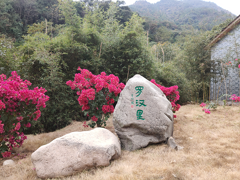 1596101887764975.png 图片36.png