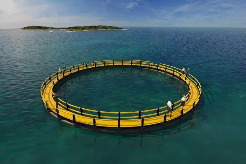 1598006882108173.jpg QQ图片20200821175615.jpg