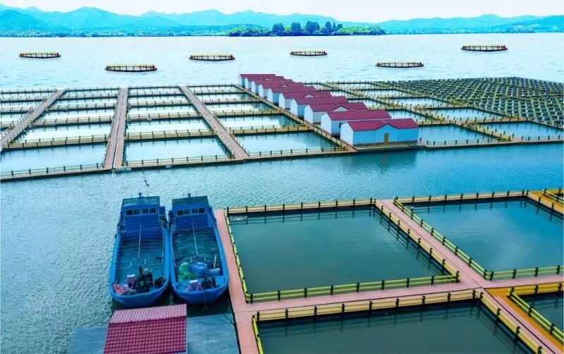 1598006904122821.jpg QQ图片20200821175636.jpg