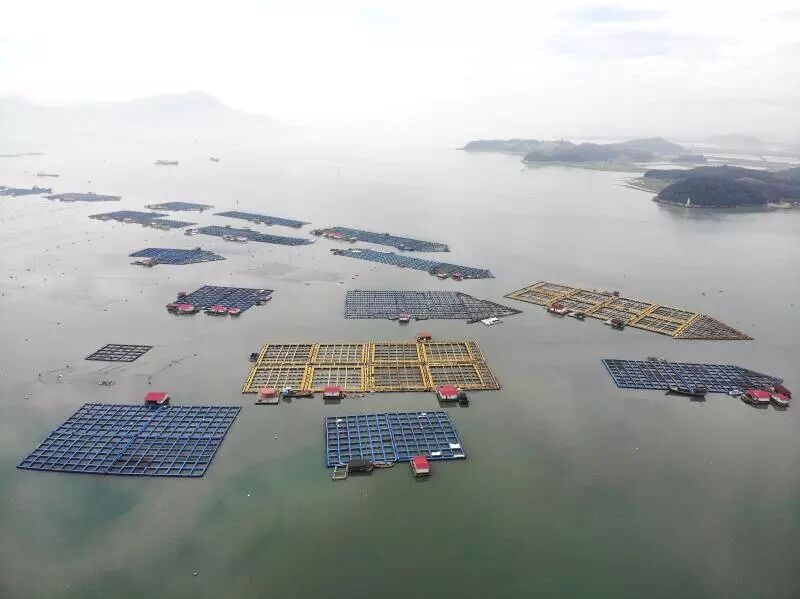 1598006915321361.jpg QQ图片20200821175652.jpg