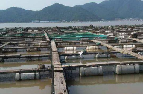 1598006929610190.png QQ图片20200821175701.png