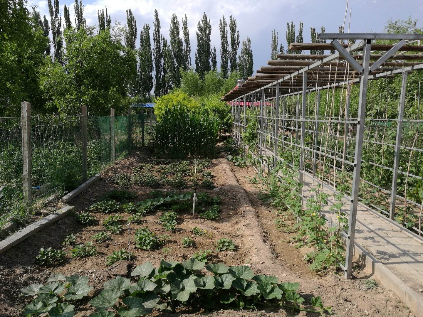 1598251923103758.jpg 宁夏黄羊滩节水灌溉工程.jpg