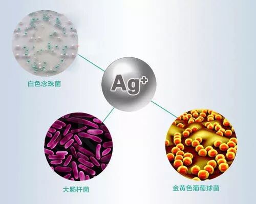 1598262781139483.jpg QQ图片20200824175007.jpg