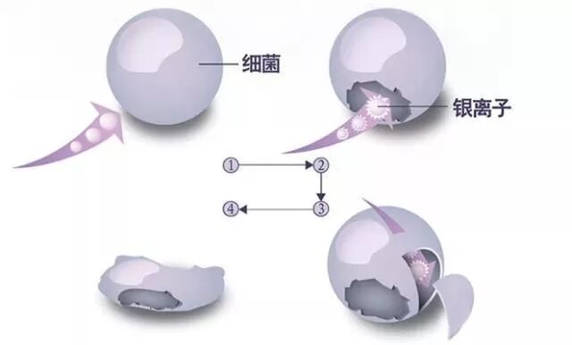 1598262831759984.jpg QQ图片20200824175035.jpg