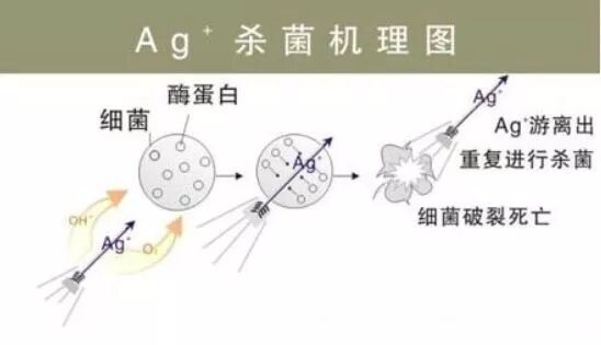 1598262854223205.jpg QQ图片20200824175044.jpg