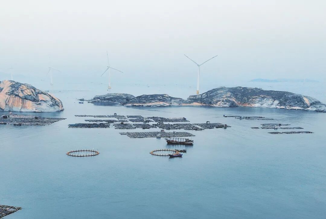 1598351259592676.jpg QQ图片20200825181804.jpg