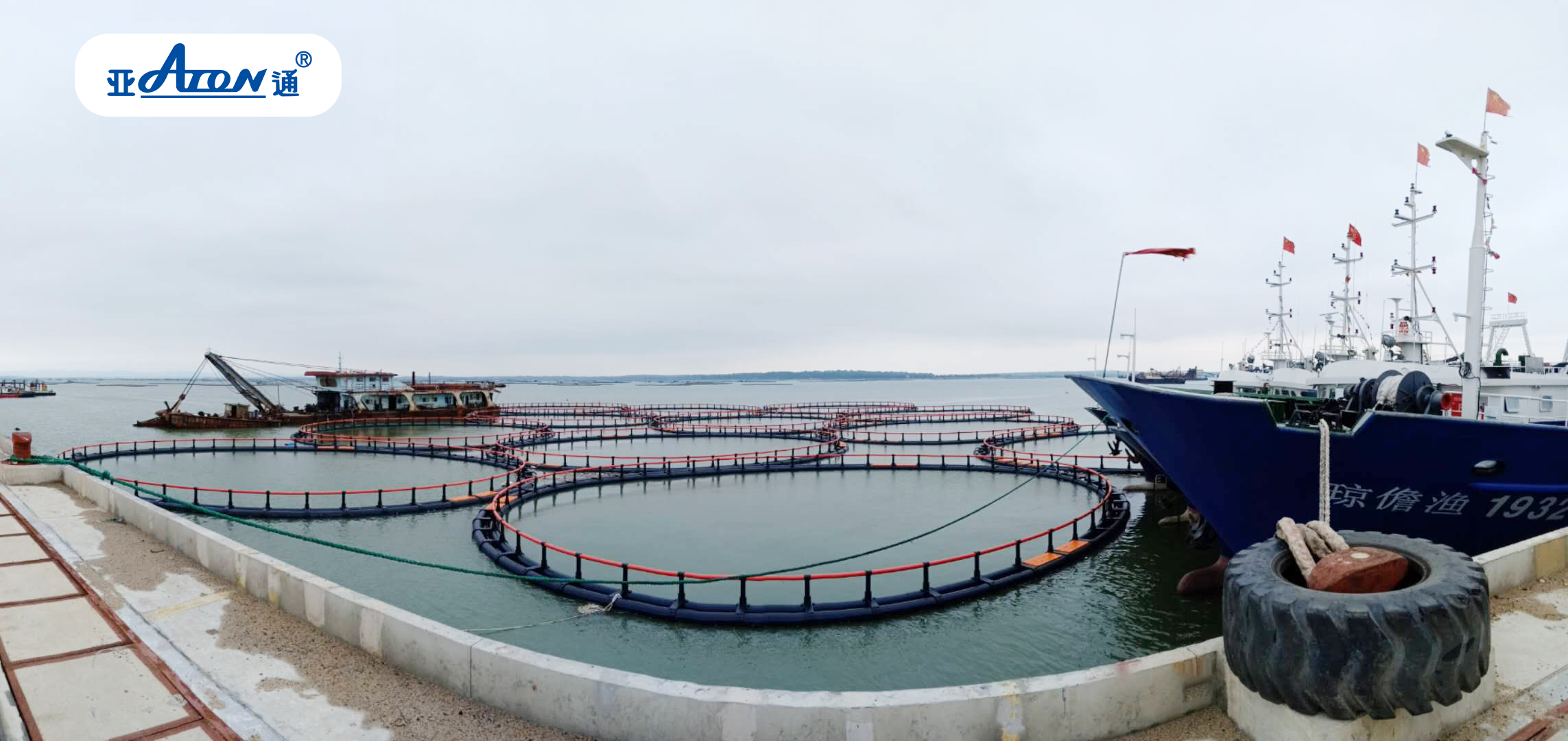 1598433339577443.jpg e898f646ca82b5b81e4fb3791091c59a-sz_562490.jpg