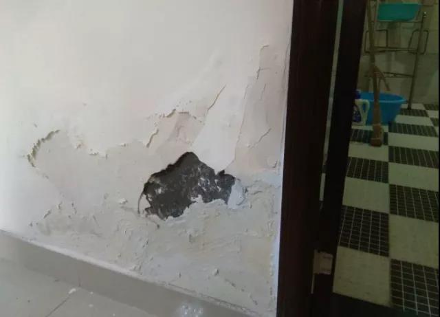 1630400486661140.jpg 3.jpg