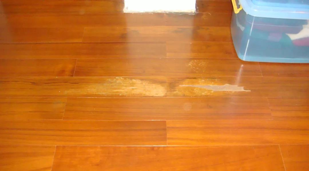 1630400605132710.jpg 7.jpg