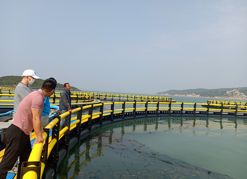 1664006764576367.png 1664006771588.png