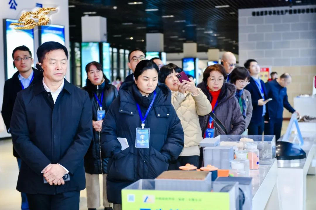 1703123734126676.jpg 10.jpg