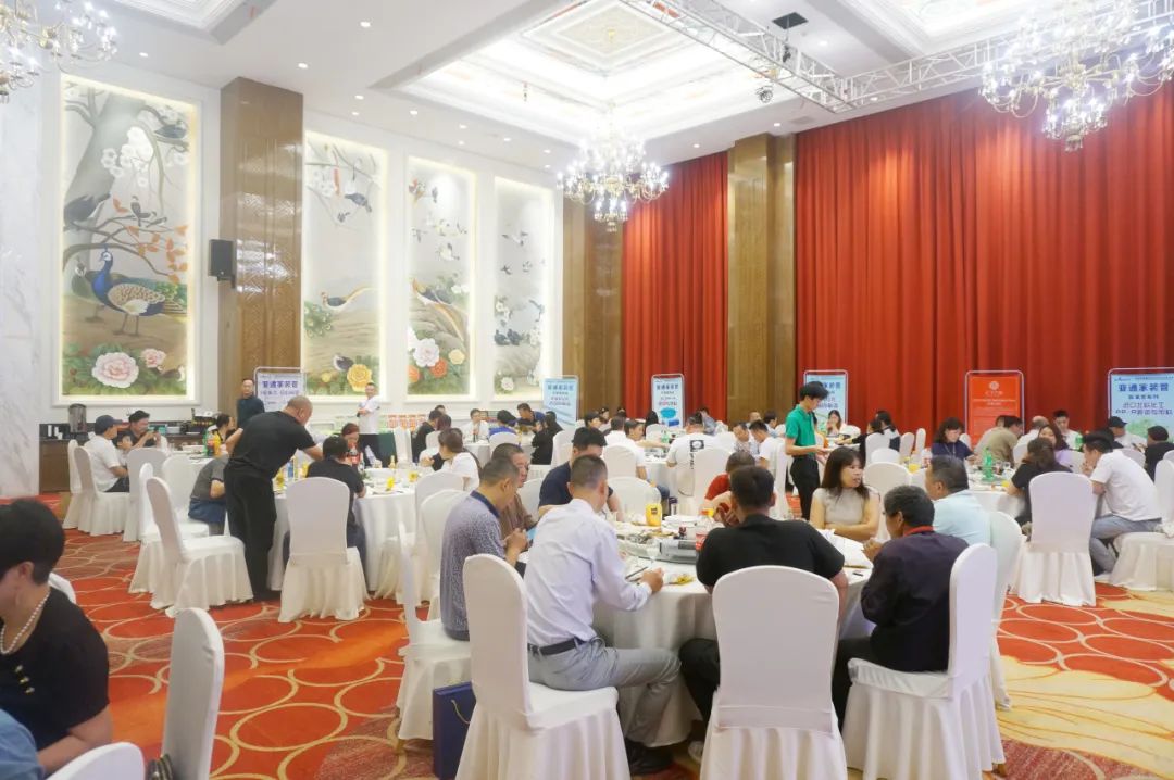 1718245475102475.jpg 32.jpg