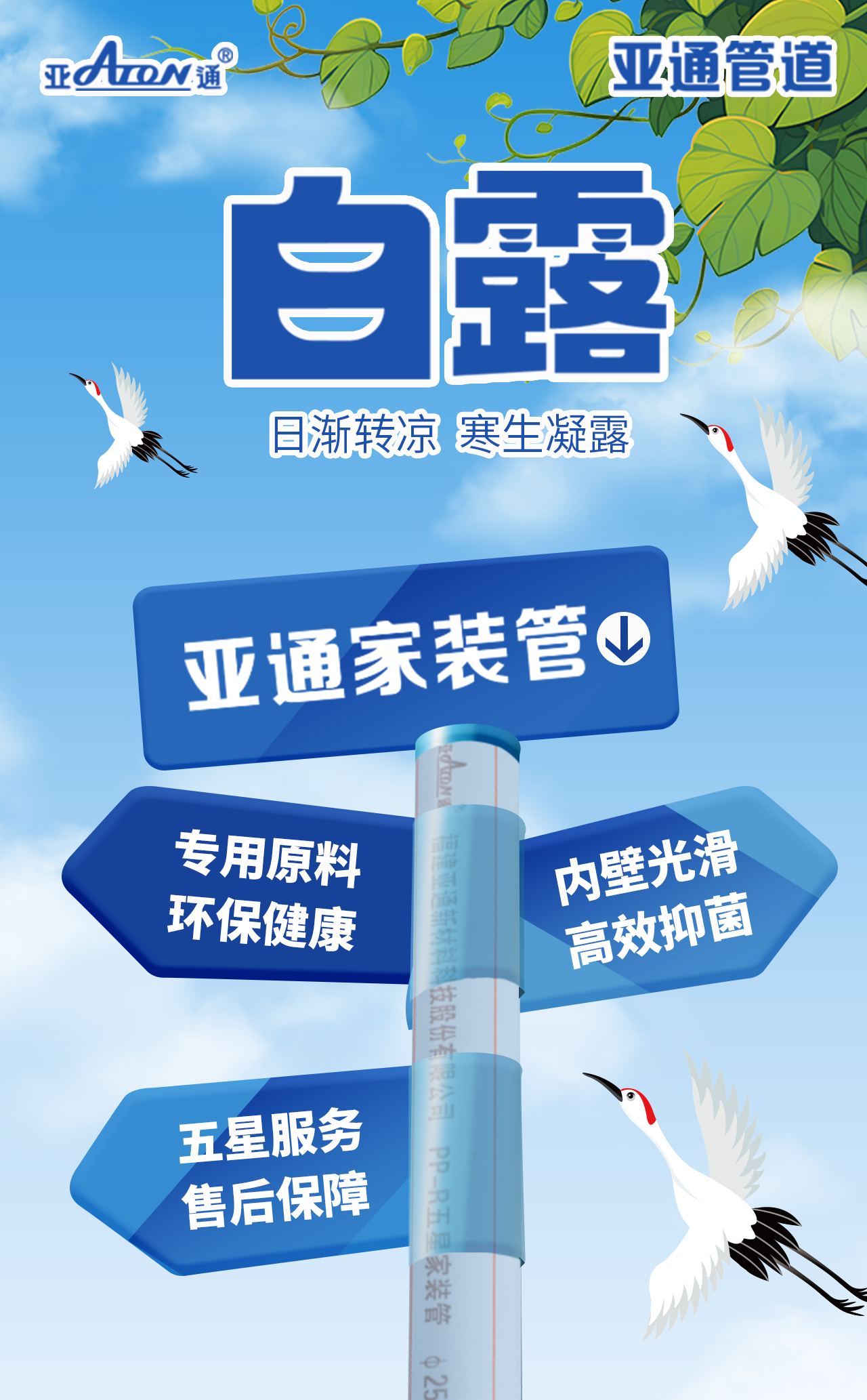 1727159418800391.png 公众号海报-白露.png