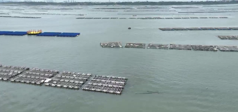 1727159686320887.png 2.png