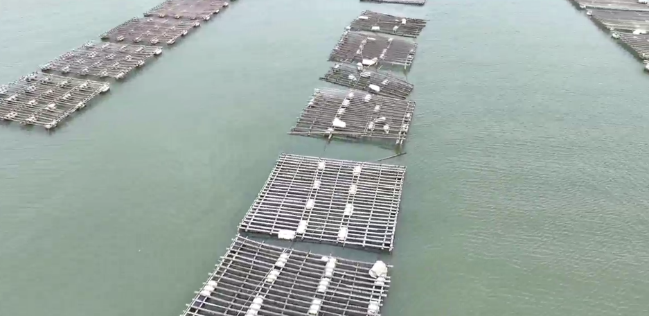 1727159694137331.png 3.png