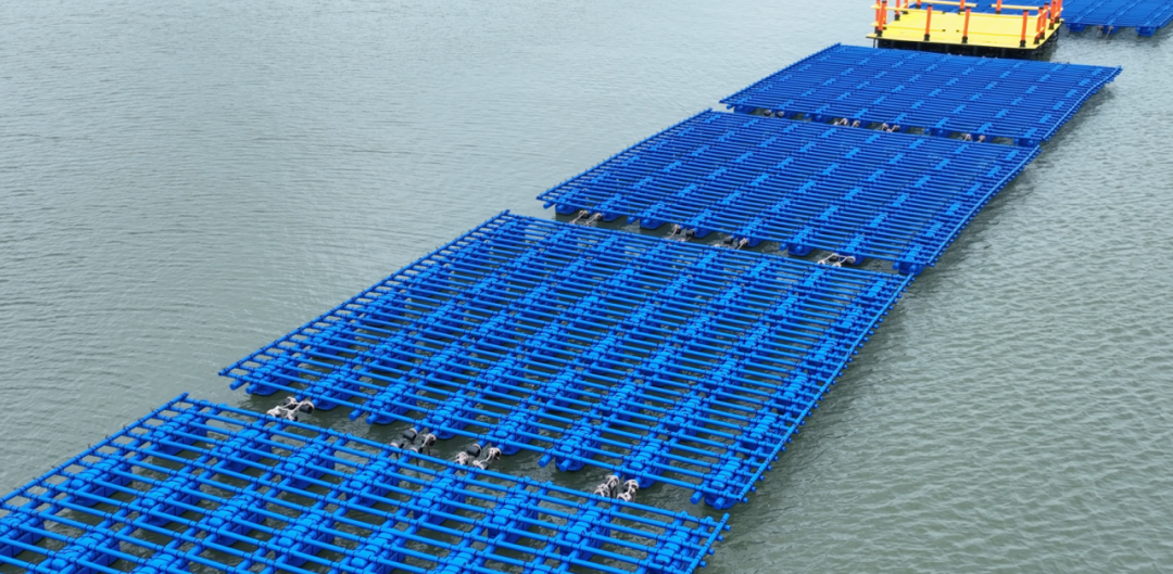 1727159759916404.png 5.png