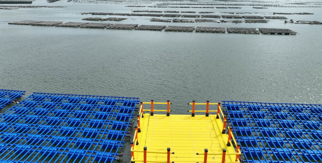 1727159815536262.png 6.png