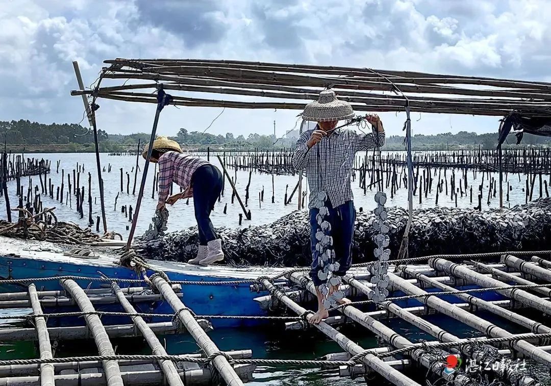 1727159921136841.jpg 9.jpg