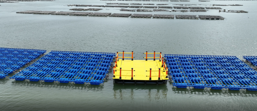 1727159933612772.png 10.png