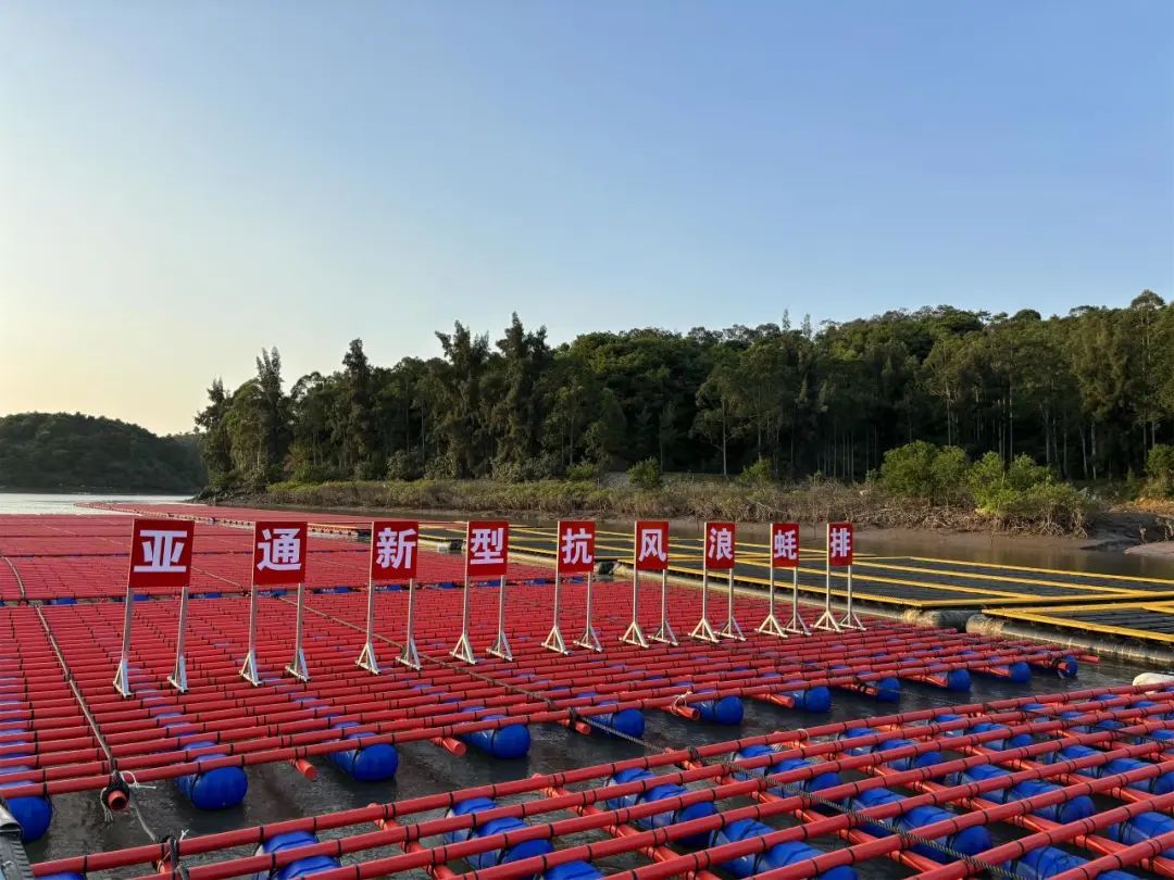 1727159959408672.jpg 11.jpg