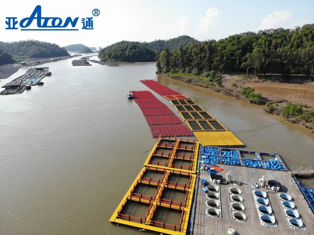 1727159977489099.jpg 12.jpg