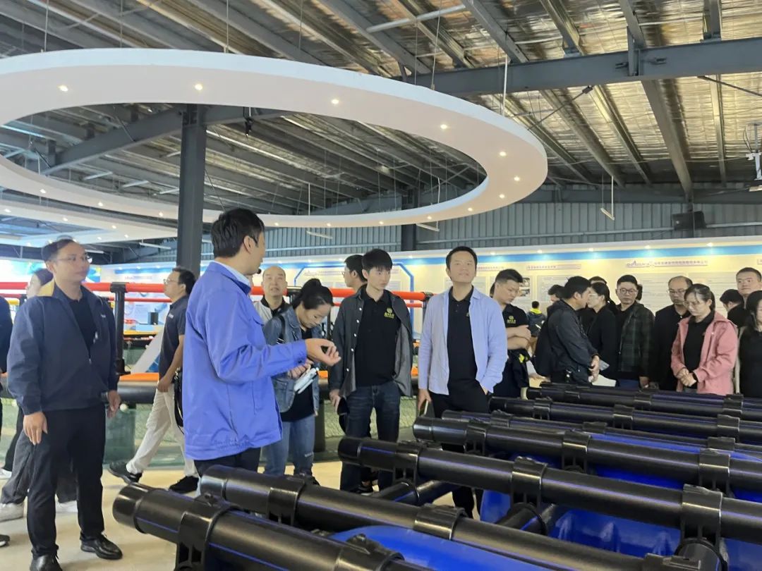 1731130977933488.jpg 9.jpg