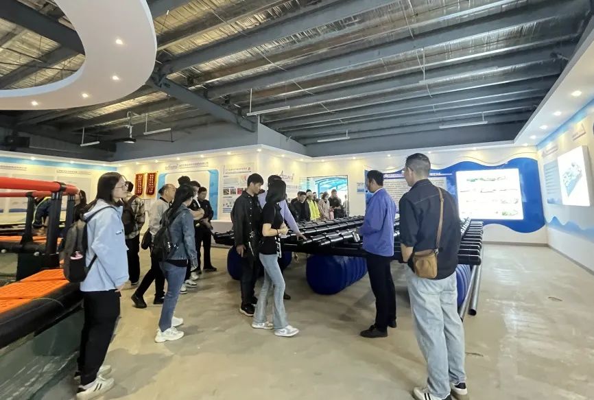 1731130983110290.jpg 10.jpg