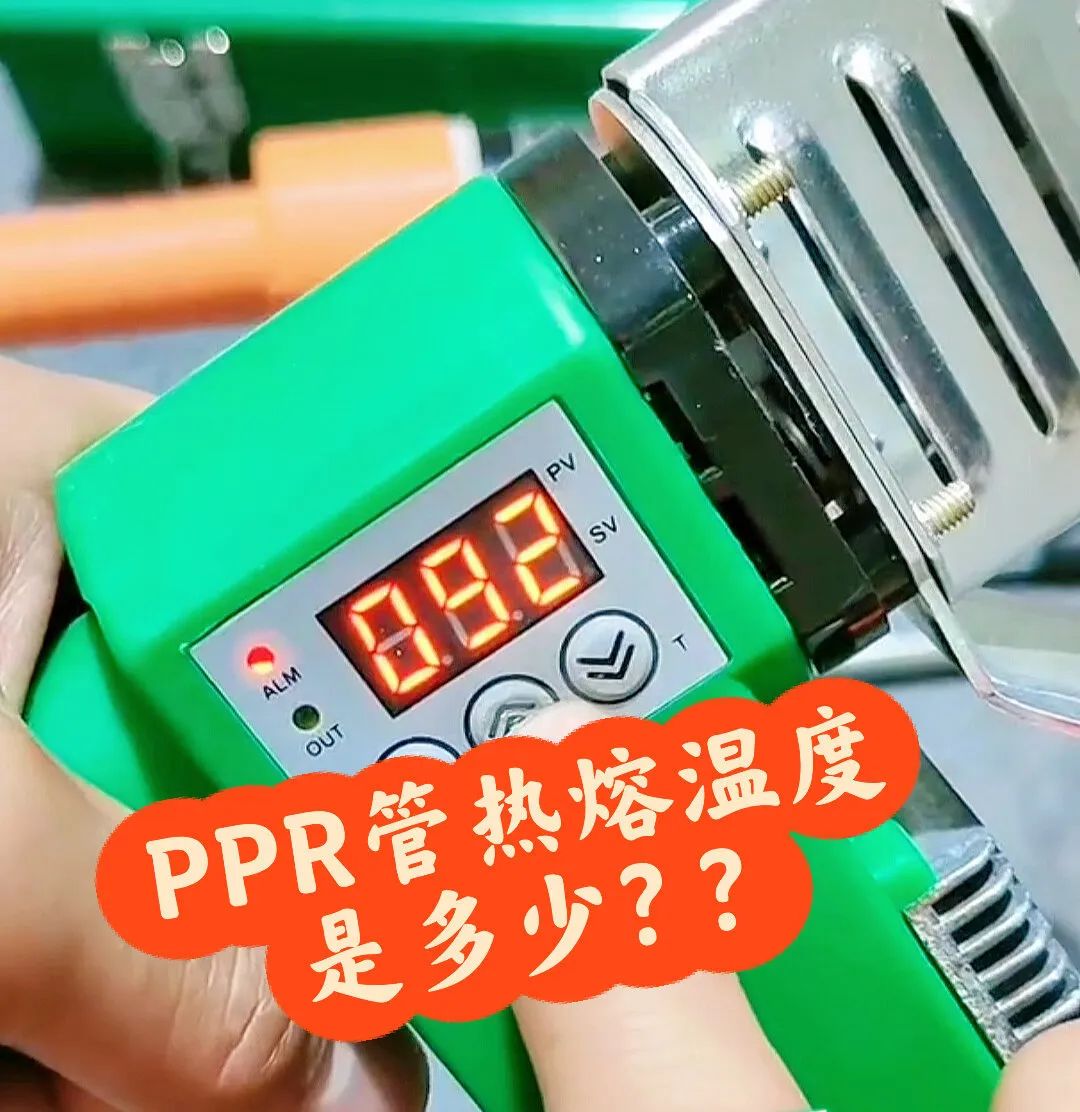 1731132461468487.jpg 2.jpg