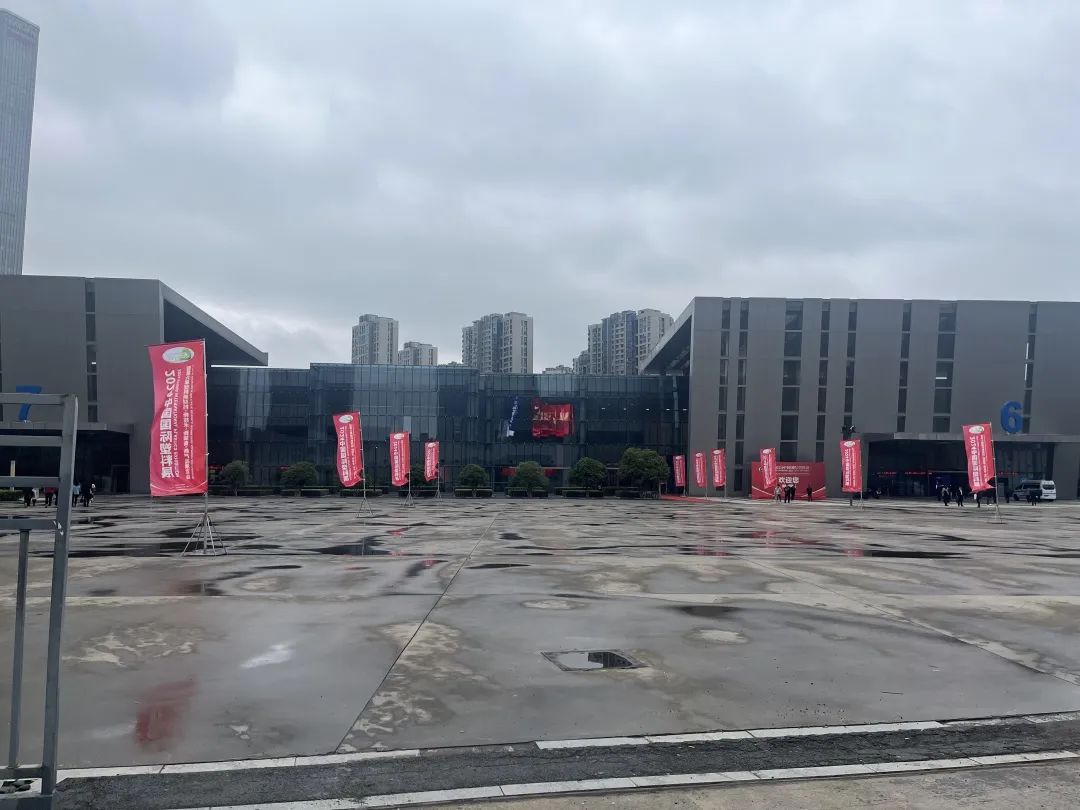 1731140045101589.jpg 6.jpg