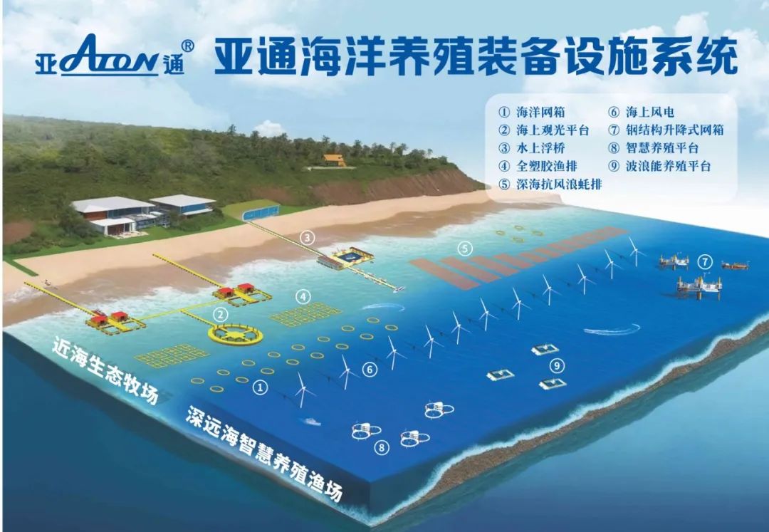 1731140225137714.jpg 10.jpg