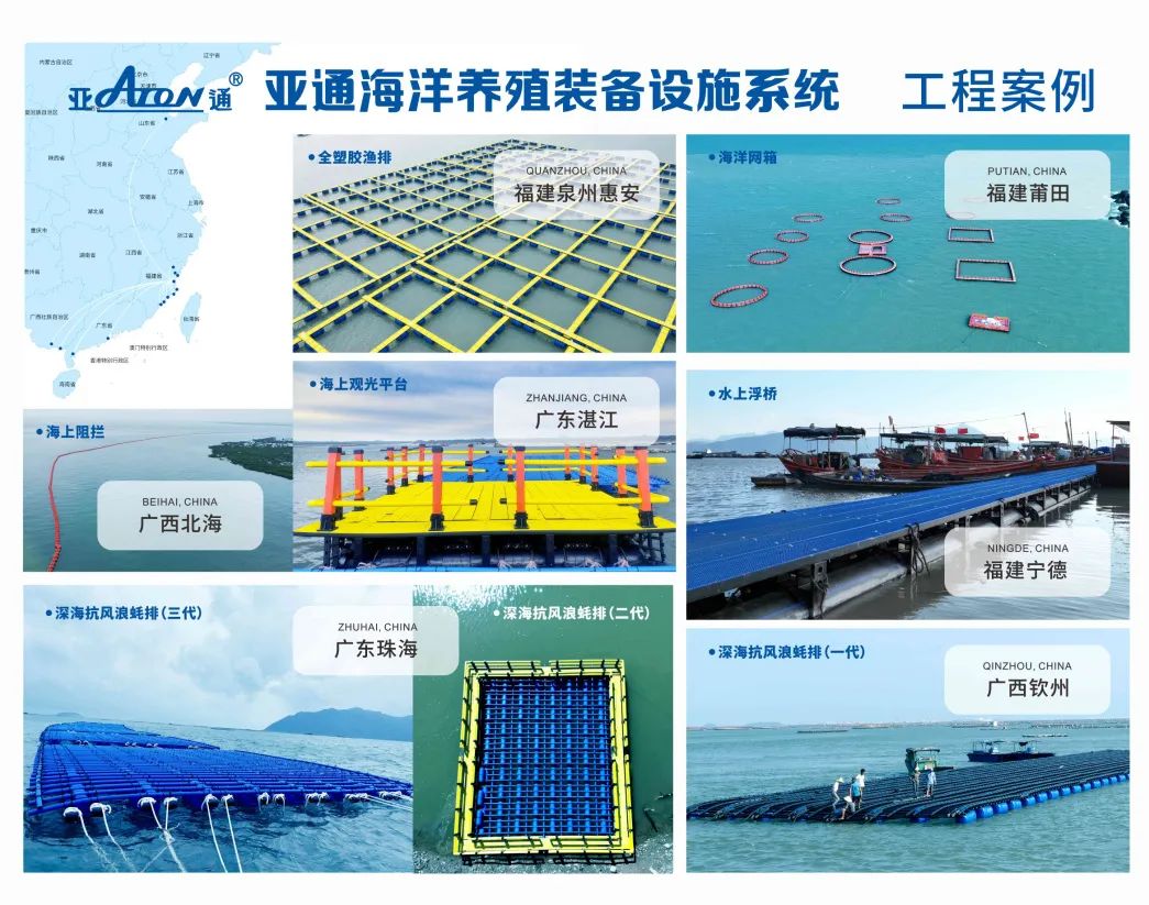 1731140232470638.jpg 11.jpg