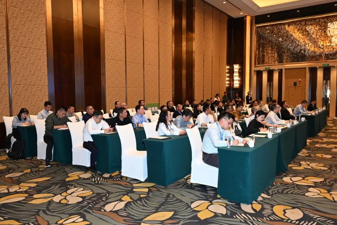 1735870224167393.jpg 14.jpg