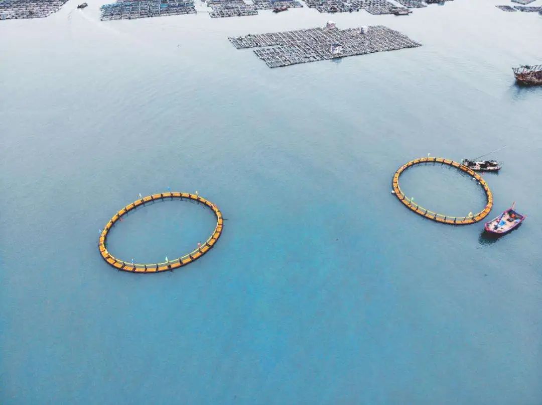 1741939043225916.jpg 11.jpg