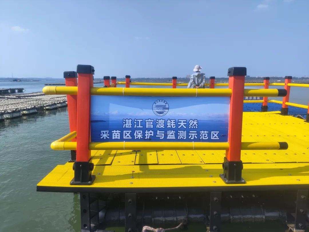 1746761235861281.jpg 8.jpg