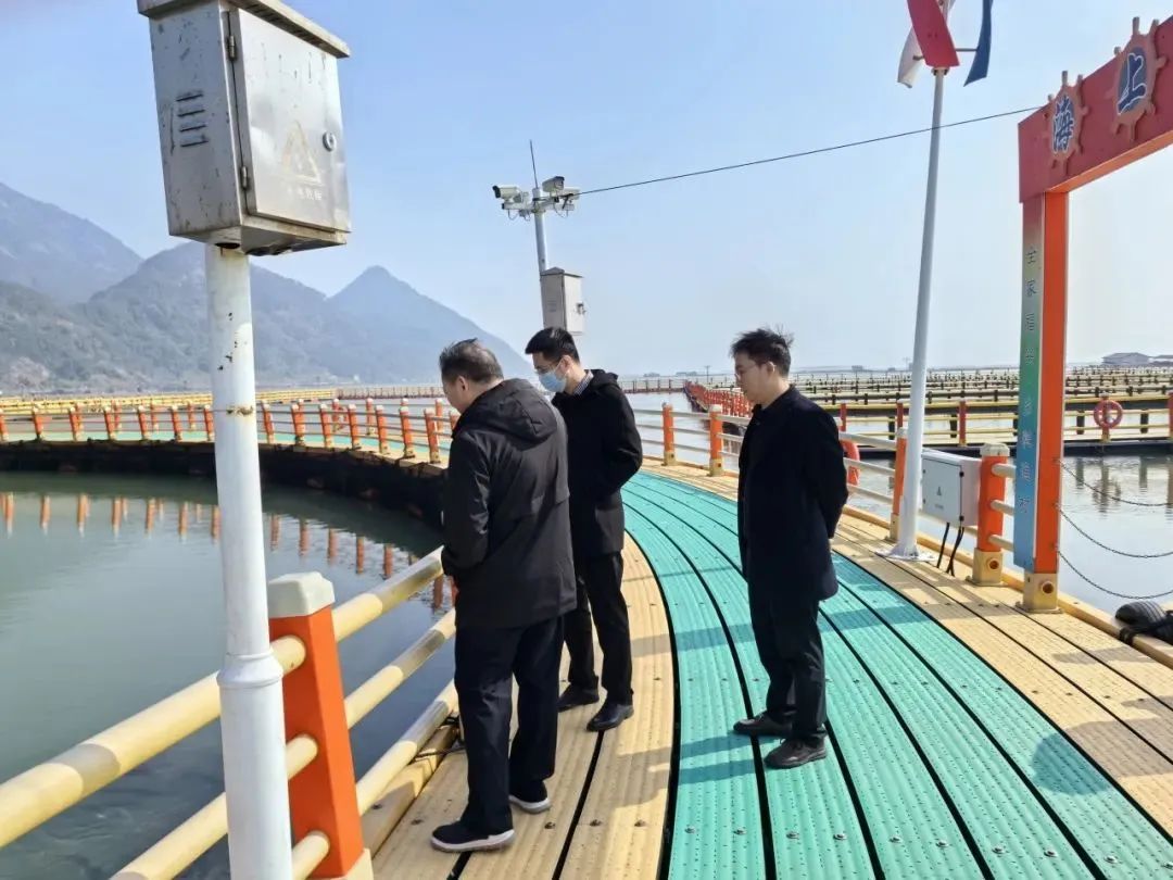 1746761293537337.jpg 11.jpg