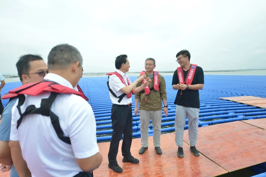 1750820392107742.jpg 2.jpg