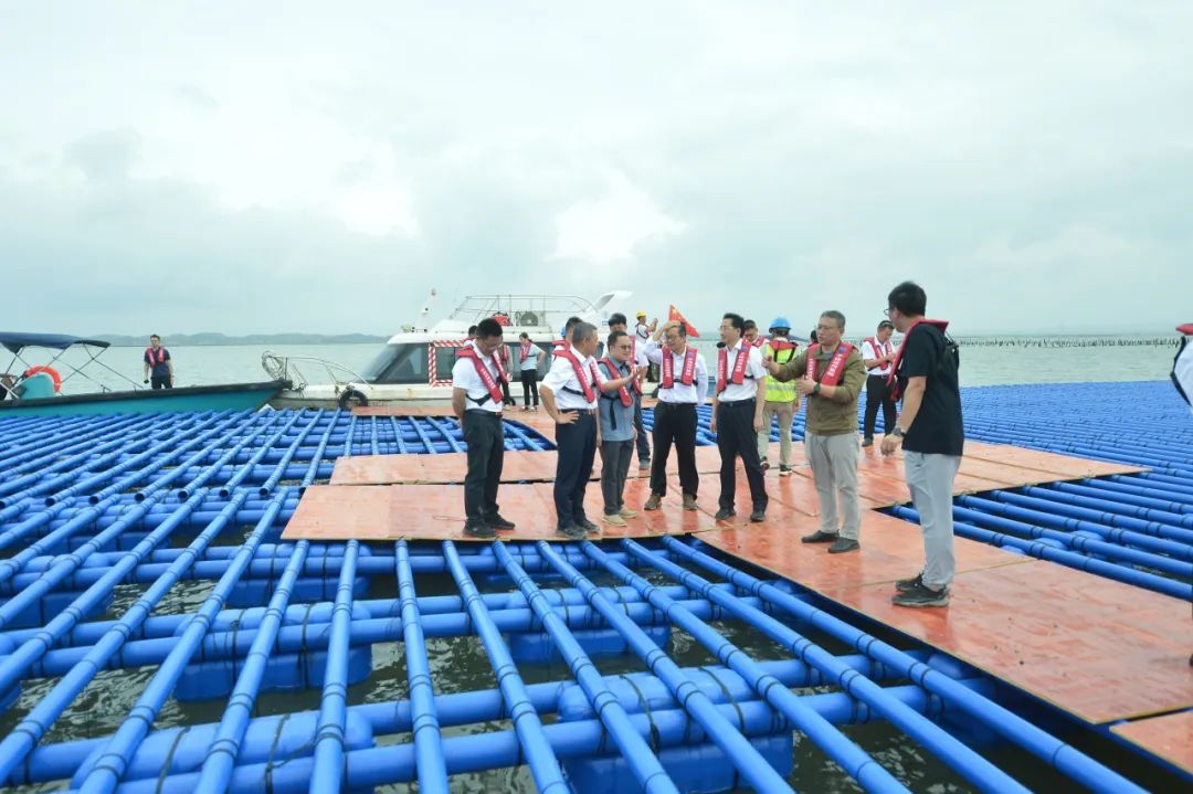 1750820403139947.jpg 3.jpg