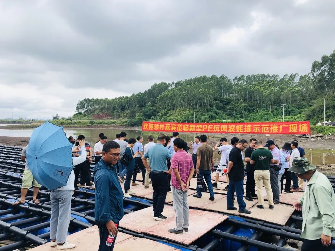 1750820422212232.jpg 6.jpg