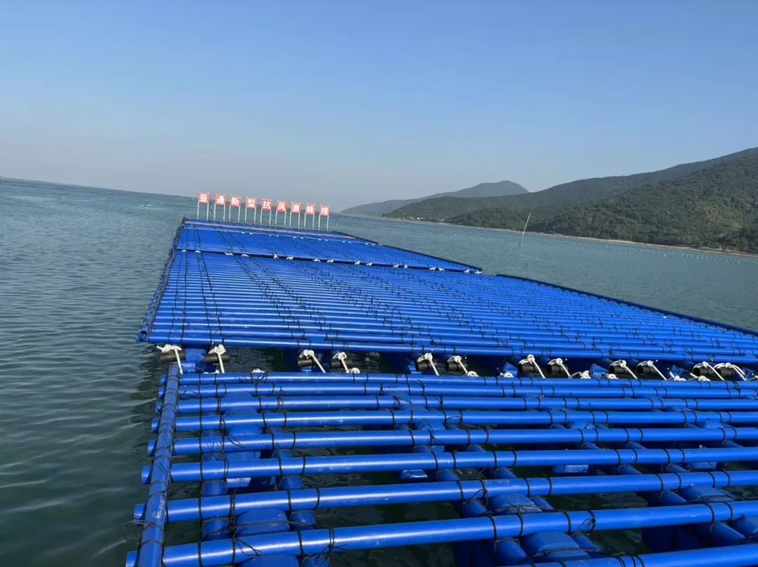 1753773500775131.jpg 6.jpg